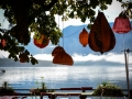 Faseeh-photography-austria-31.jpg