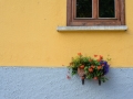 Faseeh-photography-austria-8.jpg