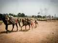 Faseeh-shams-photography-brick-makers8.jpg