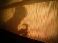 Faseeh-shams-photography-carpet-weavers23.jpg