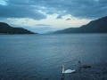 Faseeh-shams-photography-highlands-14.jpg