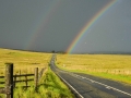 Faseeh-shams-photography-highlands-19.jpg