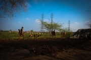 Kabadi-wrestling-pakistan2-2