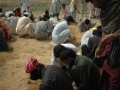 072Saven Sharif